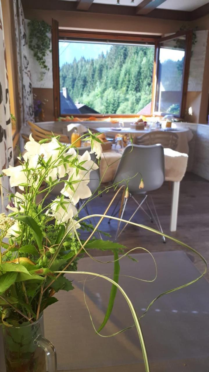 Bed and Breakfast Haus Sieben - Singer Lydia Kotschach-Mauthen Exterior foto